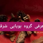 معرفی گروه بویای شرقی